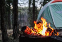 Family camping Florida Springs 4-6 October