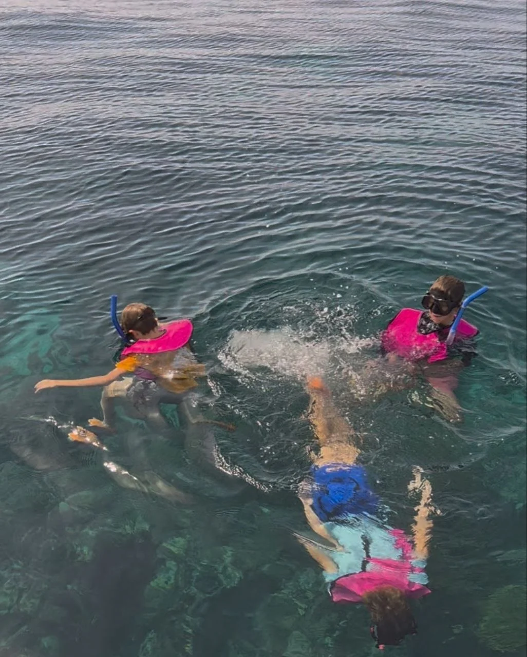 snorkeling key largo family